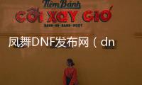 凤舞DNF发布网（dnf主播凤舞九天武器）