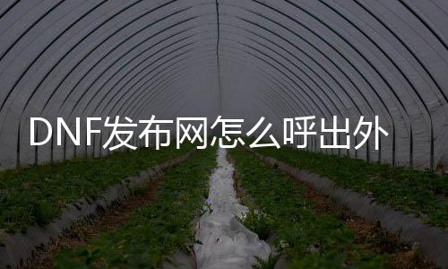 DNF发布网怎么呼出外挂