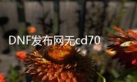 DNF发布网无cd70版本