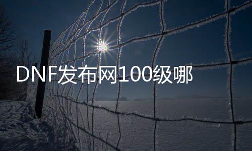 DNF发布网100级哪个最火