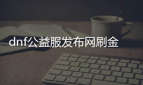 dnf公益服发布网刷金（dnf公益服发布网哪个有人气）