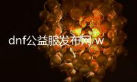 dnf公益服发布网 win10也能玩（dnf公益服发布网服务器在哪买）