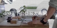 dnf天下公益服发布网登陆器（DNF发布网与勇士公益服发布网手游）