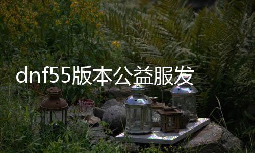 dnf55版本公益服发布网（dnf公益服发布网网站）