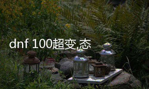 dnf 100超变,态公益服发布网（全新的DNF发布网推荐）