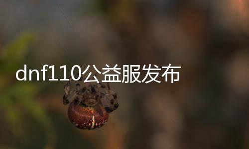 dnf110公益服发布网（最新版本介绍及玩法攻略）