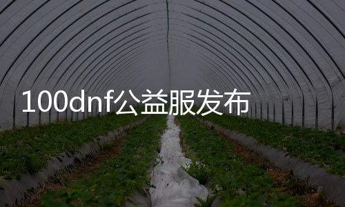 100dnf公益服发布网（寻找最新的100dnf公益服发布网站）