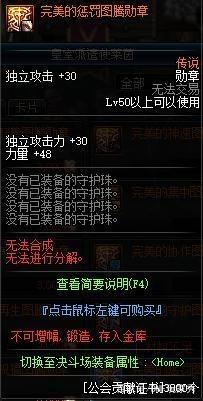 DNF发布网DNF发布网100级（DNF发布网与勇士100）